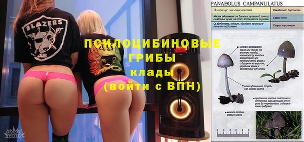 таблы Алзамай