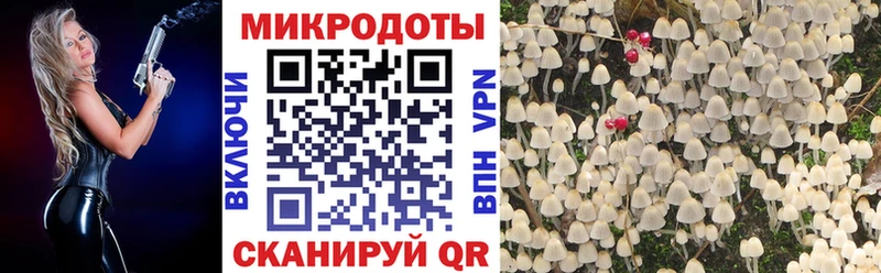 Галлюциногенные грибы Psilocybine cubensis  Щёлково 
